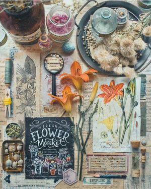 Image post by @leafyaffair on Instagram
