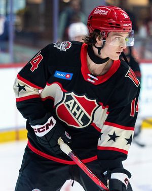 Image post by @theahl on Instagram