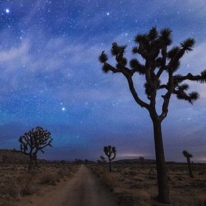 Image post by @alamorentacar on Instagram