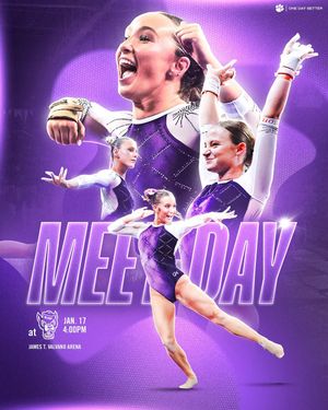 Image post by @clemsongymnastics on Instagram