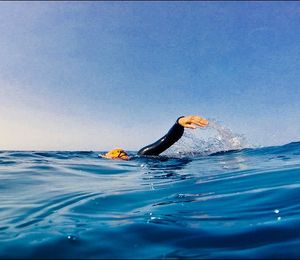 Image post by @tarapacheco_sailing on Instagram