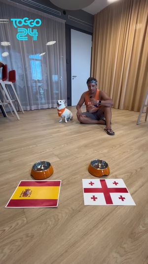 Video post by @toggo on TikTok