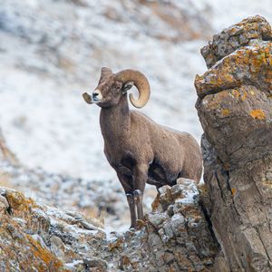 Image post by @discovery on Instagram