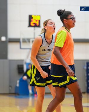 Image post by @dallaswings on Instagram