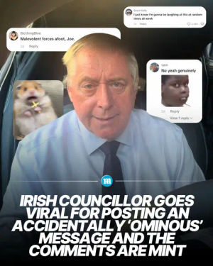 Image post by @dailymailuk on TikTok