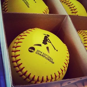 Image post by @gophersoftball on Instagram