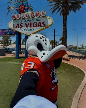 Image post by @wildwingana on Instagram