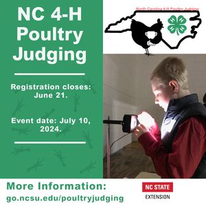 Image post by @northcarolina4h on Instagram