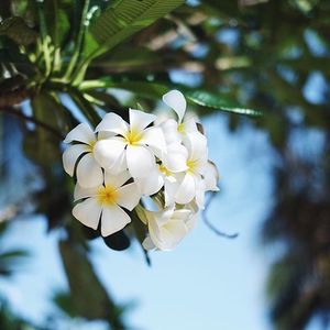 Image post by @hyatt on Instagram