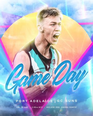 Image post by @pafc on Instagram