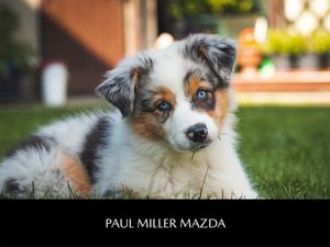 Image post by @PaulMillerMazda on Facebook