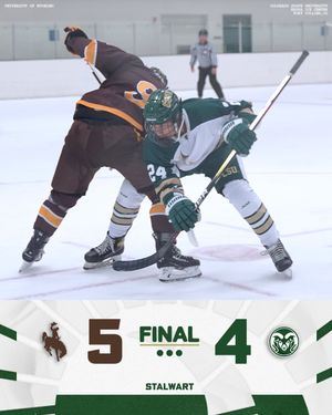 Image post by @csud2hockey on Instagram