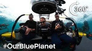 Video post by @bbcearth on YouTube