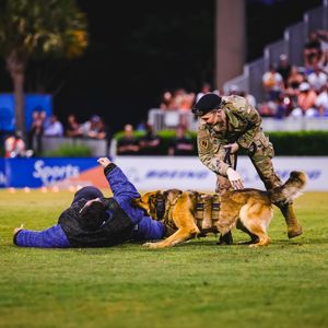 Image post by @charlestonbattery on Instagram