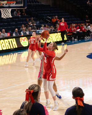 Image post by @terrierwbb on Instagram