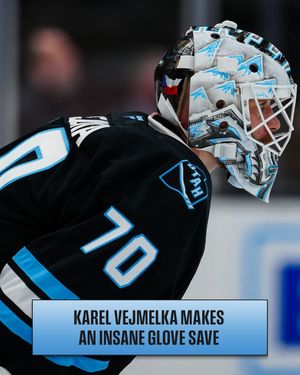 Image post by @nhl on Instagram