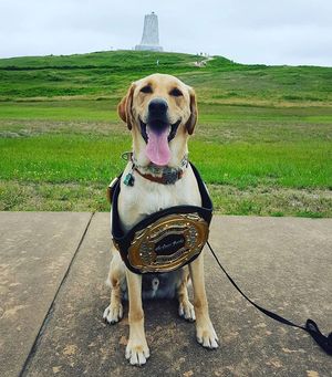 Image post by @theouterbanksnc on Instagram