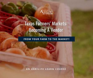 Image post by @txextension on Instagram