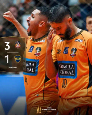 Image post by @libertadoresbr on TikTok