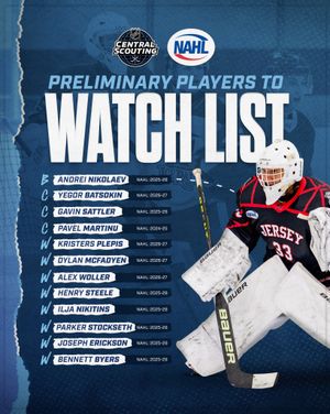 Image post by @nahlhockey on Instagram