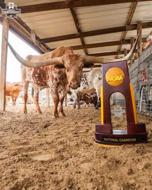 Image post by @ncaagymnastics_ on Instagram