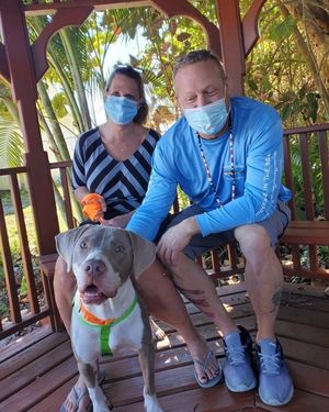 Image post by @suncoasthumane on Instagram