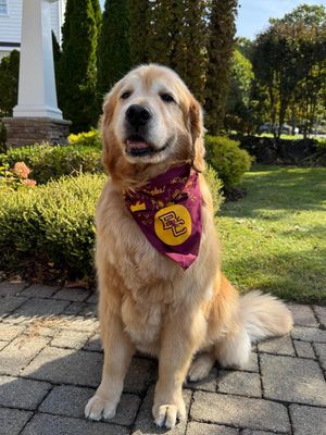 Image post by @bostoncollege on Instagram