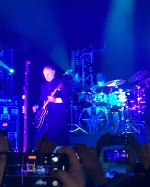 Image post by @jancines on Instagram