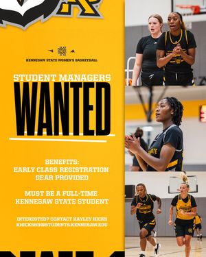 Image post by @ksuowlswbb on Instagram