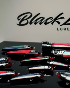 Image post by @black_ledge_lures on Instagram