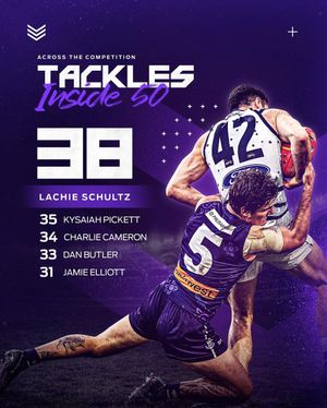 Image post by @freodockers on Instagram