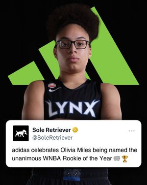 Image post by @soleretriever on Instagram