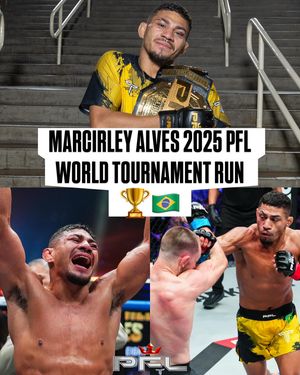 Image post by @pflmma on Instagram