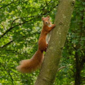 Image post by @rspb on Instagram