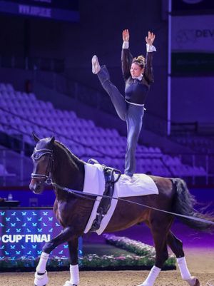Image post by @usequestrian on Instagram