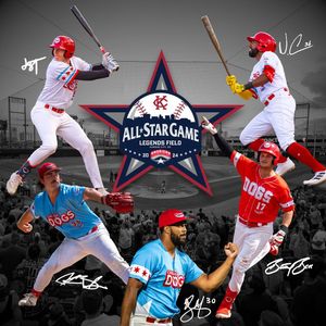 Image post by @thechicagodogs on Instagram