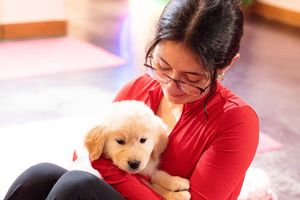 Image post by @core_states_group on Instagram