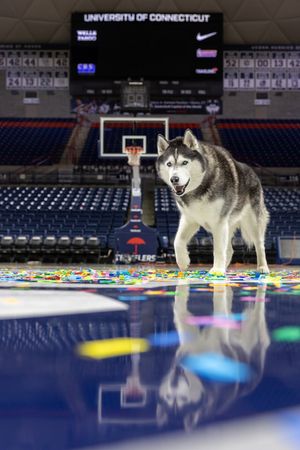 Image post by @UConn on Twitter