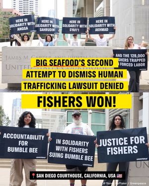 Image post by @greenpeace on Instagram