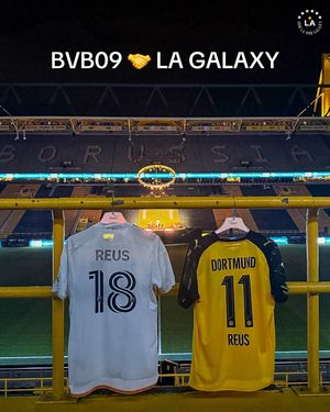 Video post by @lagalaxy on TikTok