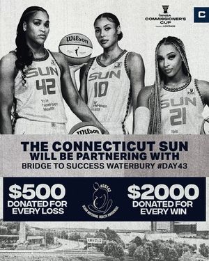Image post by @ConnecticutSun on Twitter