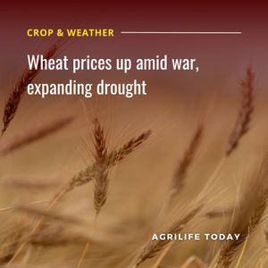 Image post by @txextension on Instagram