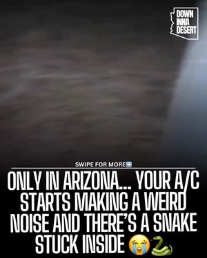 Image post by @downinnadesert on Instagram