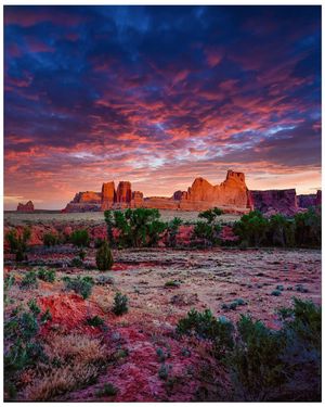 Image post by @nationalparkscollective on Instagram