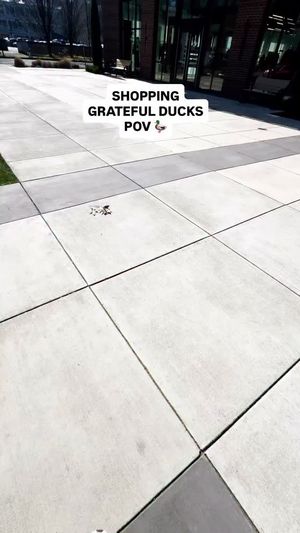 Video post by @goducks on Facebook