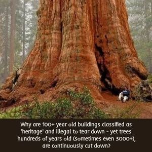 Image post by @green.anarchist on Instagram