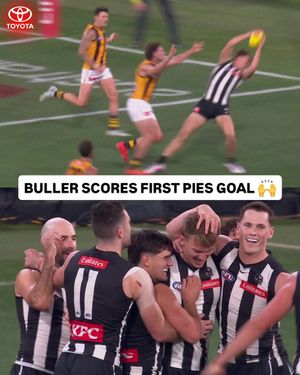 Image post by @afl on Instagram