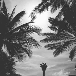 Image post by @francescogiarrusso on Instagram