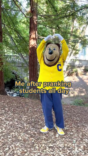 Video post by @ucberkeley on TikTok