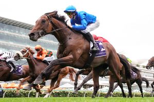 Image post by @flemingtonvrc on Instagram